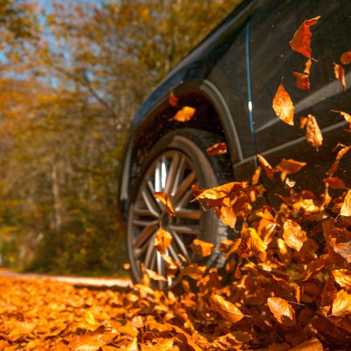 Car driving through autumn leaves.