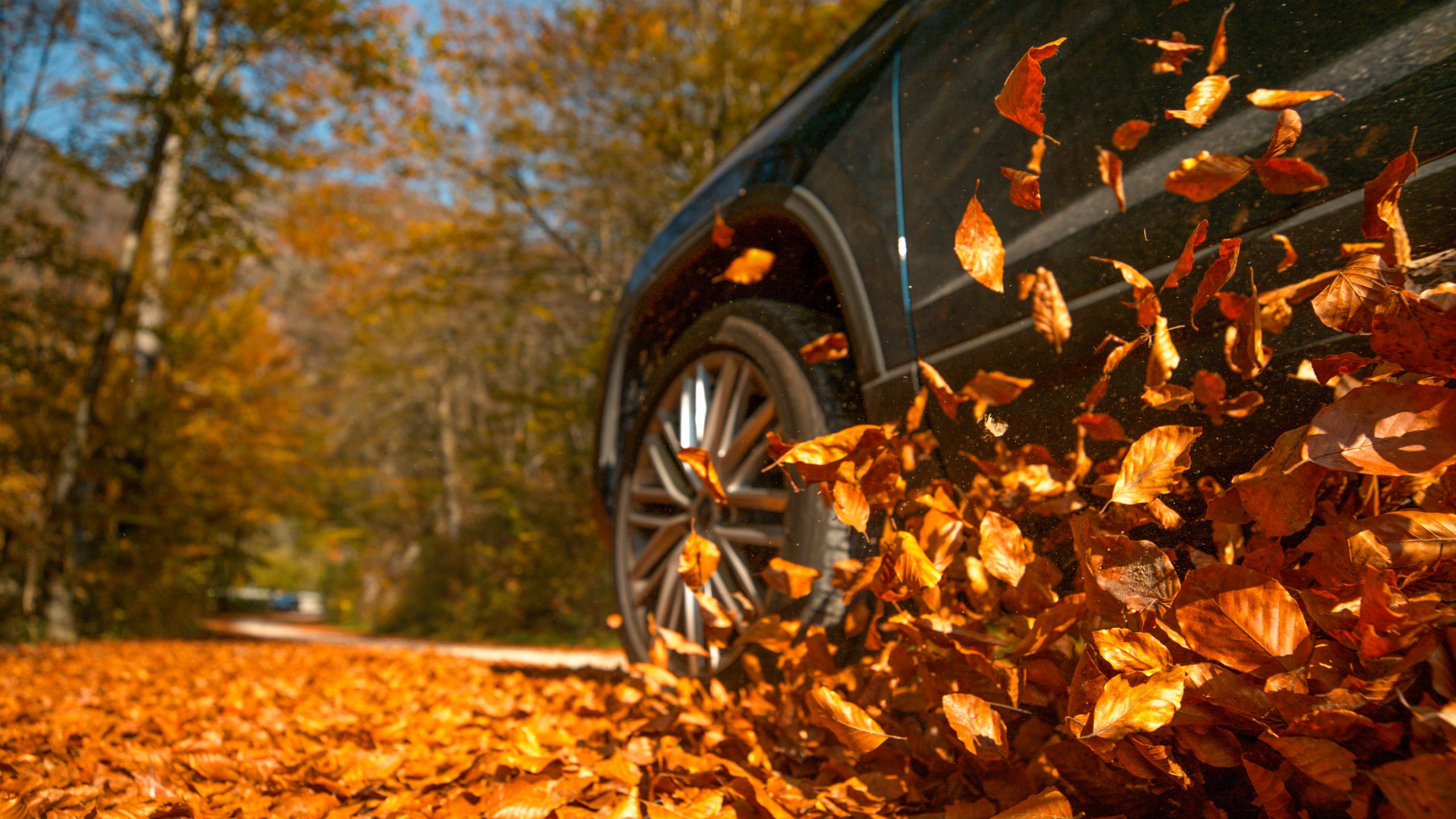 Car driving through autumn leaves.