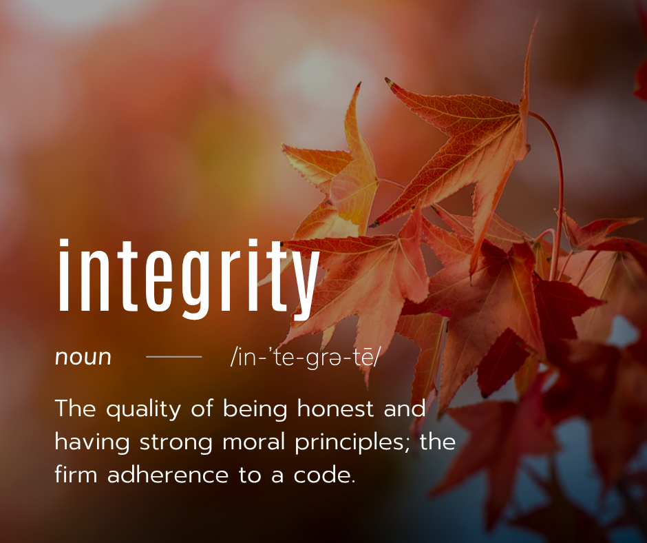 Integrity definition